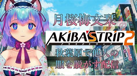 服 脱がす ゲーム|Steam：AKIBA’S TRIP2.